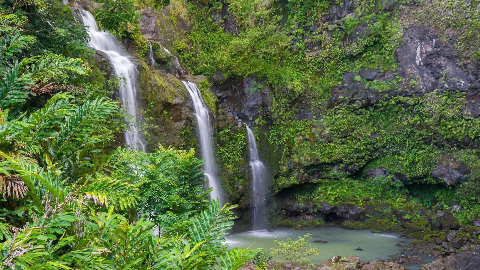 Mahana 1202 Kahana